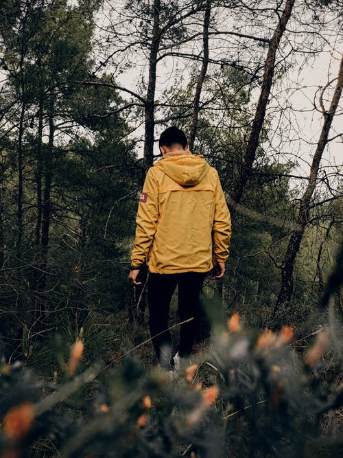 有关人, 休闲, 健行的免费素材图片