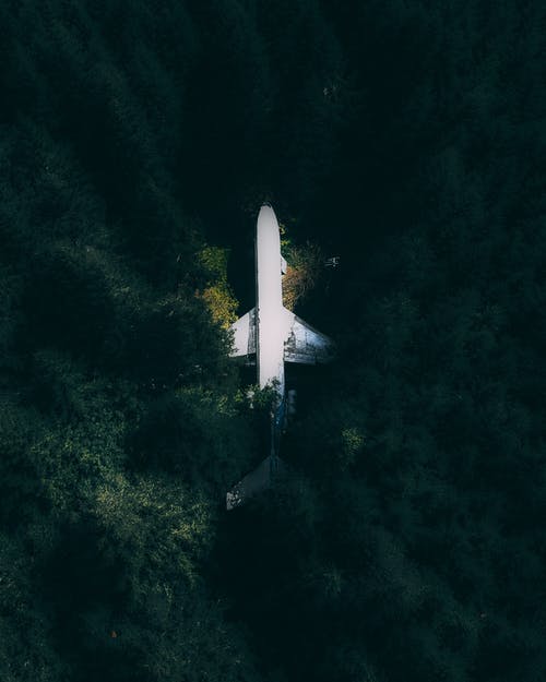 飞机在森林的绿树丛中 · 免费素材图片