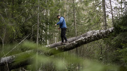 有关不均匀的, 乾的, 人的免费素材图片