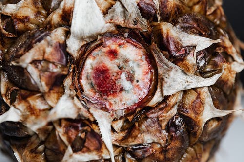 有关健康, 剥皮, 口味的免费素材图片