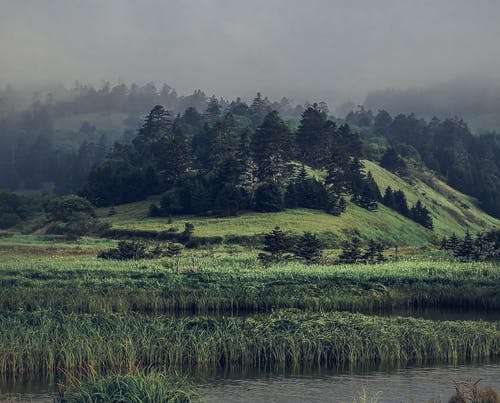 有关冷静, 原本, 和平的的免费素材图片