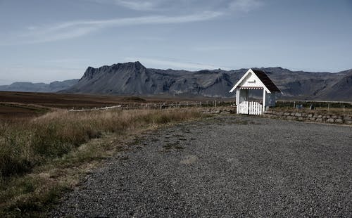 有关不均匀的, 乔木, 乾的的免费素材图片
