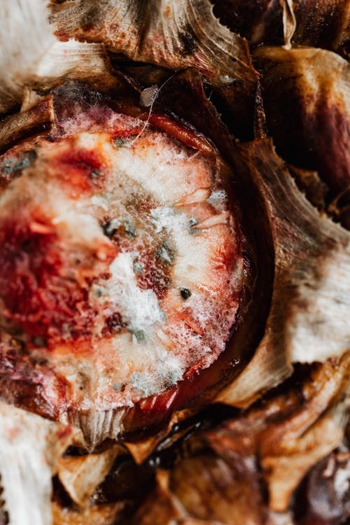 有关俯视图, 健康, 刷新的免费素材图片