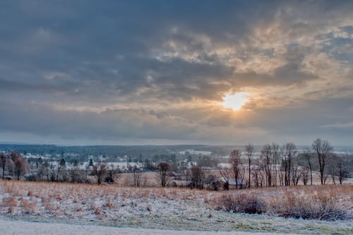 有关不均匀的, 乾的, 光的免费素材图片