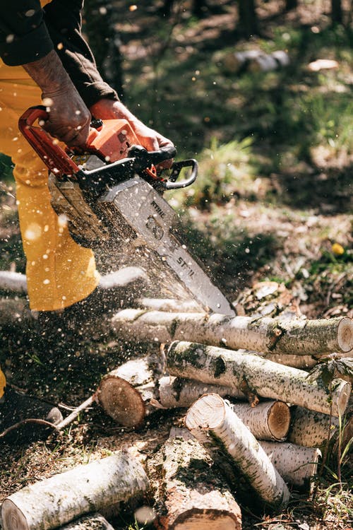 Orange and Black Snow Blower on Brown Wood Log · 免费素材图片