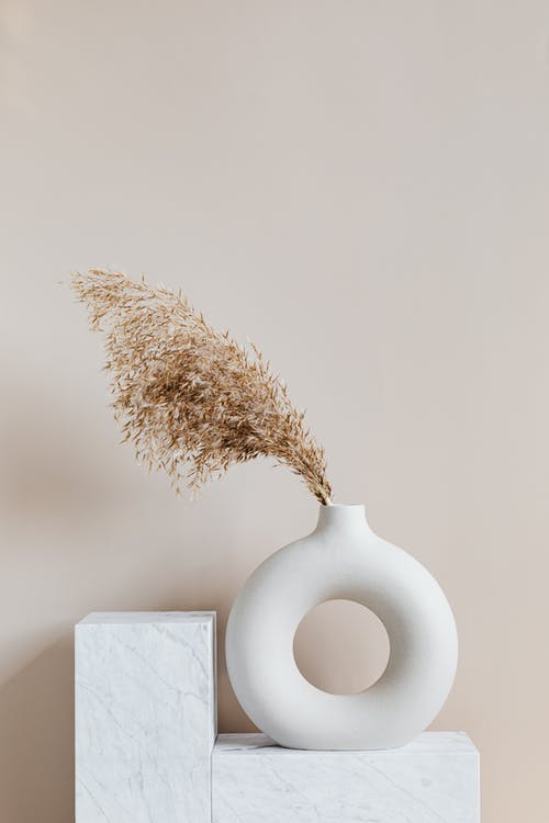 白色陶瓷花瓶上的棕色植物 · 免费素材图片