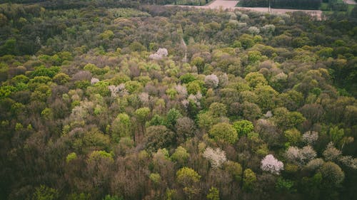 有关下落, 和谐, 场景的免费素材图片