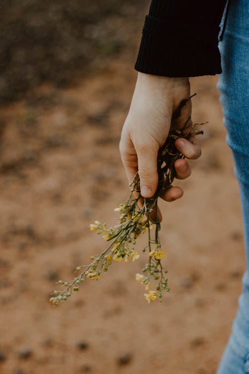 有关垂直拍摄, 女手, 户外的免费素材图片