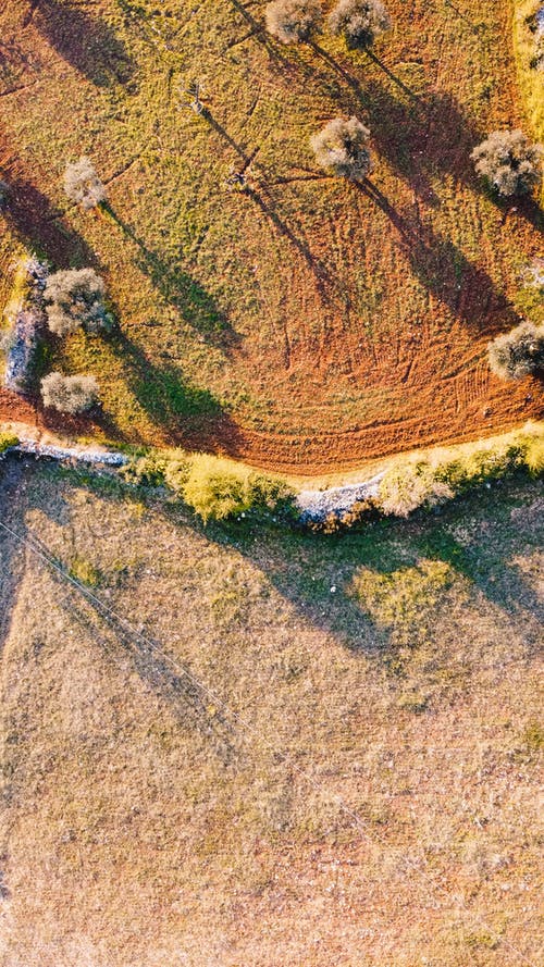 有关乾的, 冷, 冷静的免费素材图片