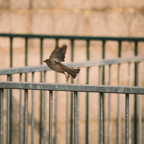 有关休假, 侧面图, 冷静的免费素材图片