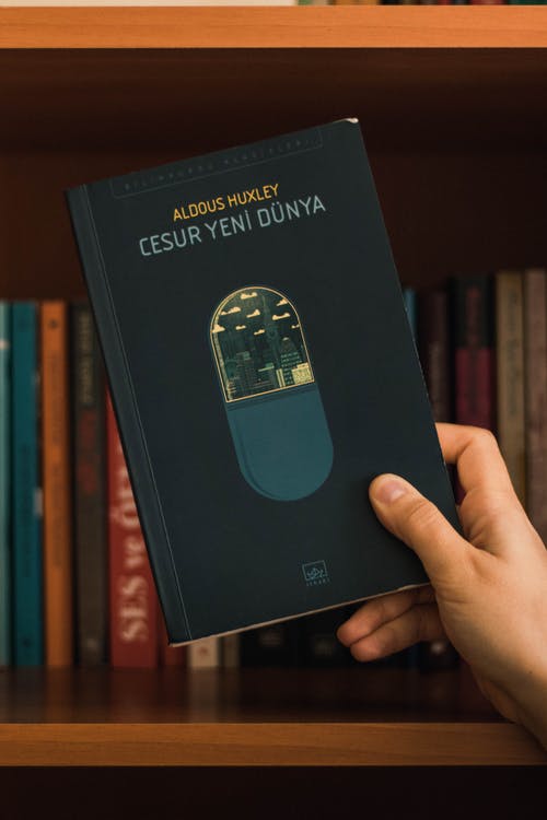 有关不一样, 不露面, 什锦的的免费素材图片