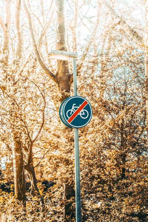 有关垂直拍摄, 标志, 没有自行车标志的免费素材图片
