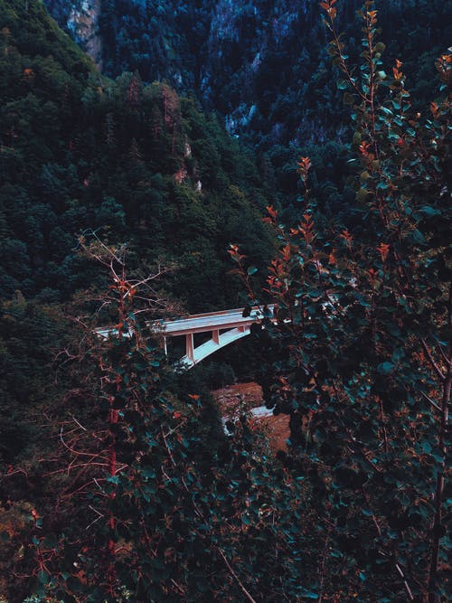 有关健行, 冒险, 原本的免费素材图片