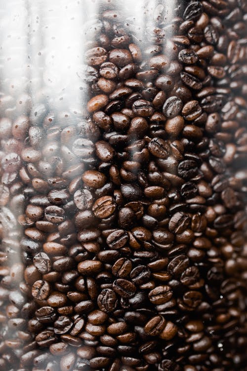 透明塑料容器上的咖啡豆 · 免费素材图片