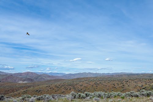 有关乾旱, 乾的, 健行的免费素材图片
