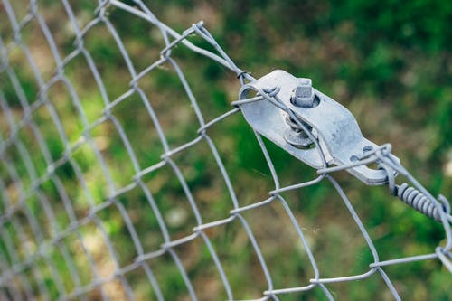 有关保全, 保护, 围栏的免费素材图片