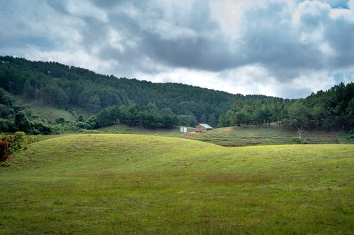 有关冷静, 和平的, 地形的免费素材图片