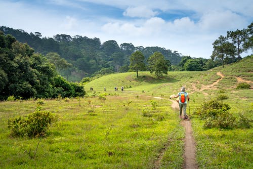 有关一起, 人行道, 健行的免费素材图片