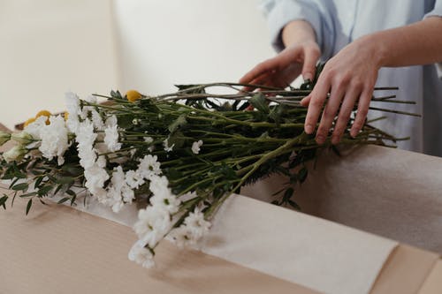 有关一串, 一束花, 一束鲜花的免费素材图片