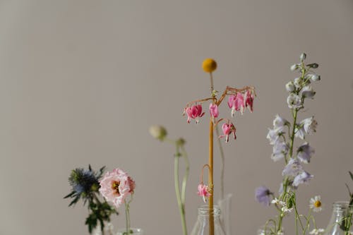 有关作文, 地平线, 增长的免费素材图片