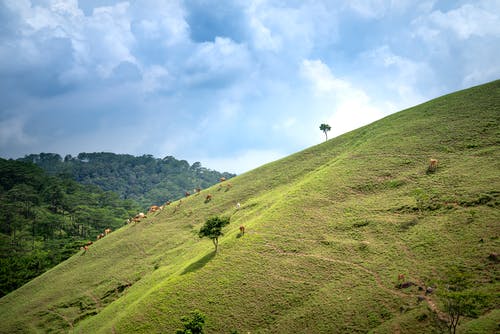 有关健行, 冷静, 和平的的免费素材图片