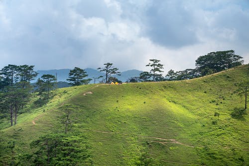 有关冷静, 和平的, 地形的免费素材图片