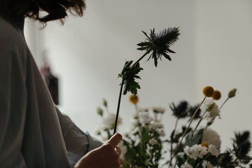 有关一串, 一束花, 一束鲜花的免费素材图片