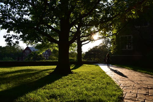 有关不露面, 人行道, 住的免费素材图片