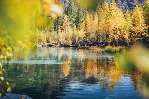 有关下落, 俄国, 冷静的免费素材图片