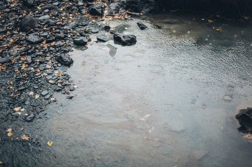 有关下雨, 地面, 多雨的的免费素材图片