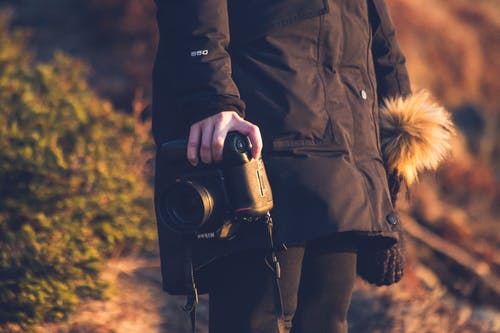 有关不露面, 乾的, 侧面图的免费素材图片