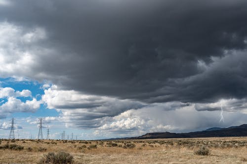 有关不均匀的, 乾的, 华丽的的免费素材图片