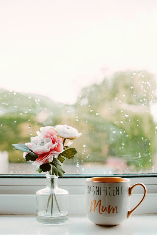 透明玻璃罐上的白色和粉红色的玫瑰 · 免费素材图片