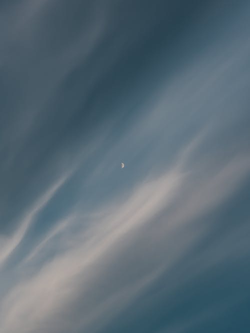 有关半月, 卷云, 月亮的免费素材图片