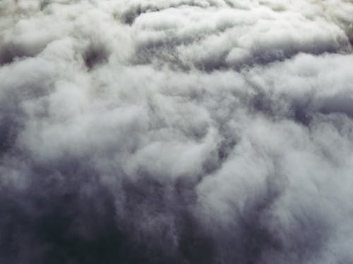 有关冷静, 凝结, 华丽的的免费素材图片