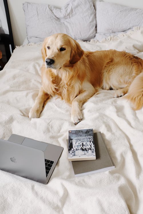 有关3C用品, 休息, 俯视图的免费素材图片