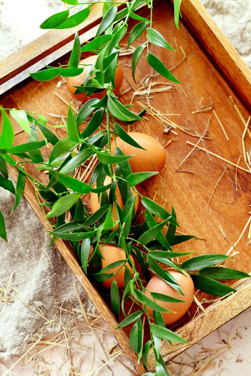 有关俯视图, 垂直拍摄, 托盘的免费素材图片