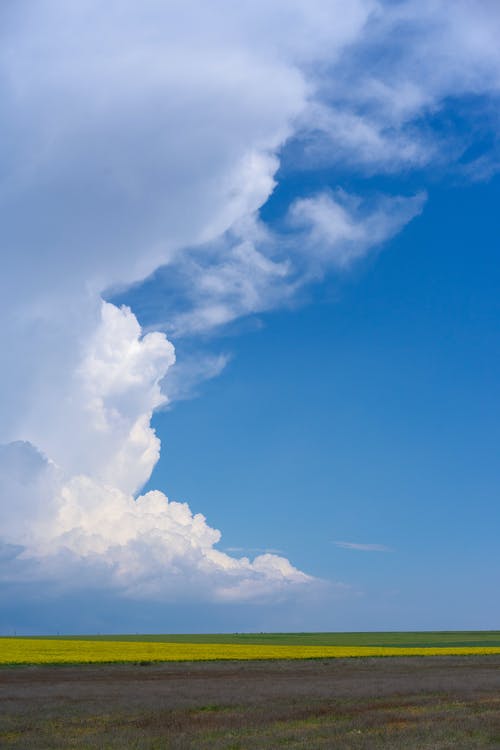 有关垂直拍摄, 多云的, 天性的免费素材图片