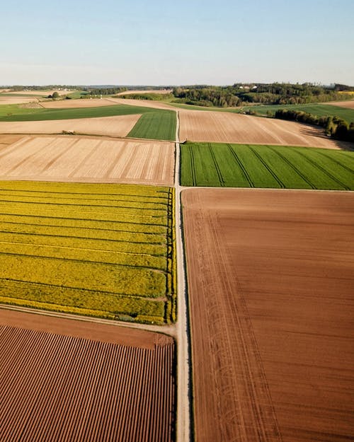 不同的彩色农业领域，在农村的天空下 · 免费素材图片