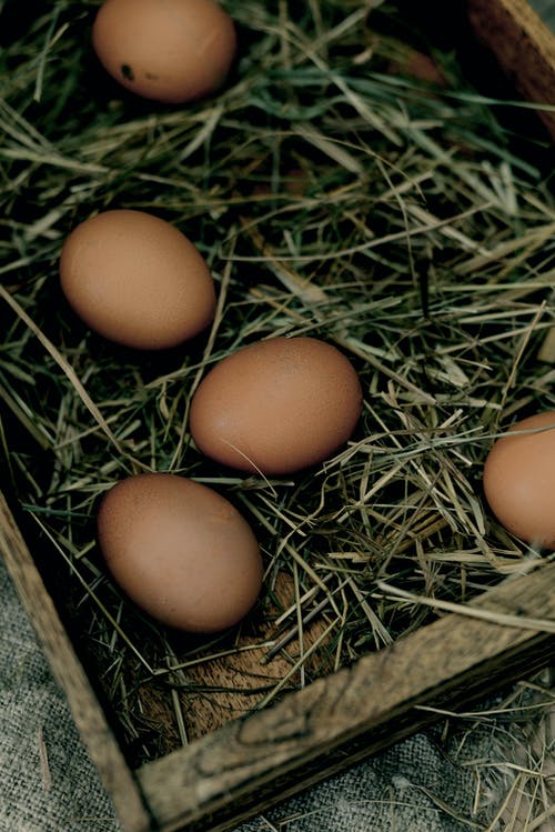 有关垂直拍摄, 特写镜头, 蛋的免费素材图片
