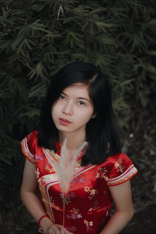 有关個性, 傳統, 優雅的免费素材图片