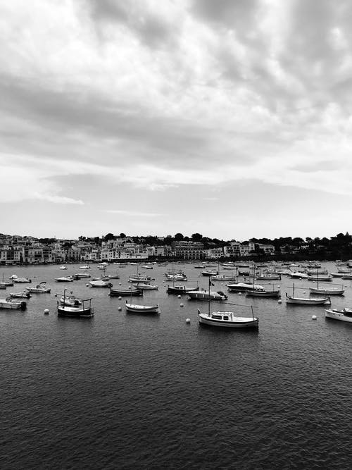 有关bw, 冷静, 和平的的免费素材图片