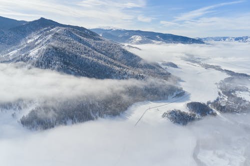 有关冬季, 冷静, 华丽的的免费素材图片