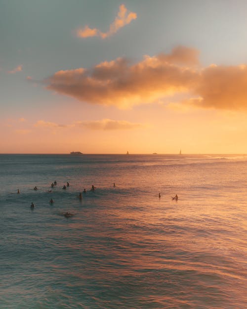 有关城市景观, 夏威夷, 夕阳的光的免费素材图片