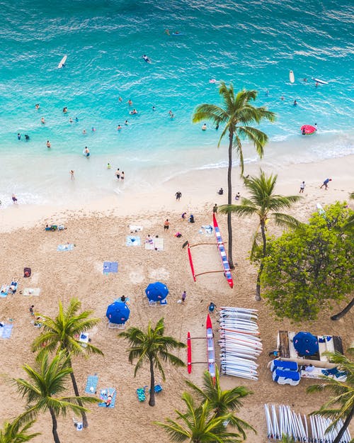 有关夏威夷, 天堂, 棕榈树的免费素材图片