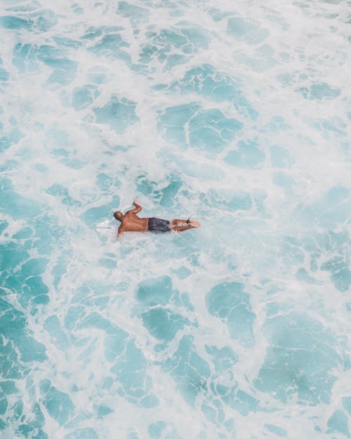 有关家伙, 夏威夷, 天堂的免费素材图片