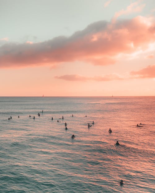 有关傍晚的太阳, 夏威夷, 天堂的免费素材图片