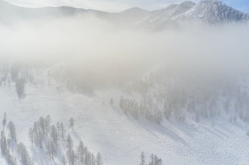 有关冬季, 冷, 冷色调的免费素材图片