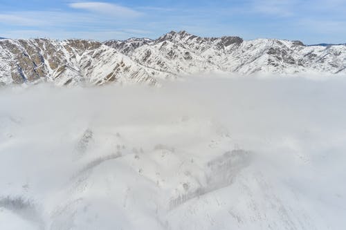 有关冬季, 冷静, 华丽的的免费素材图片