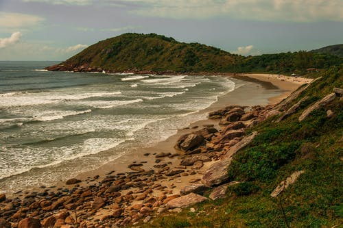 有关不均匀的, 华丽的, 和谐的免费素材图片